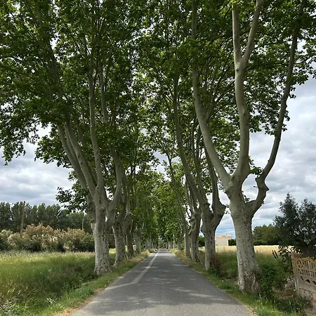 La Maison De Jack Raissac-d'Aude