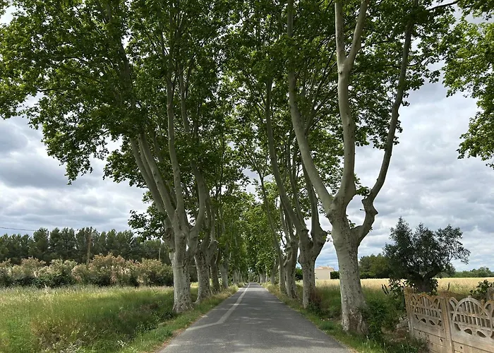 La Maison De Jack Raissac-d'Aude